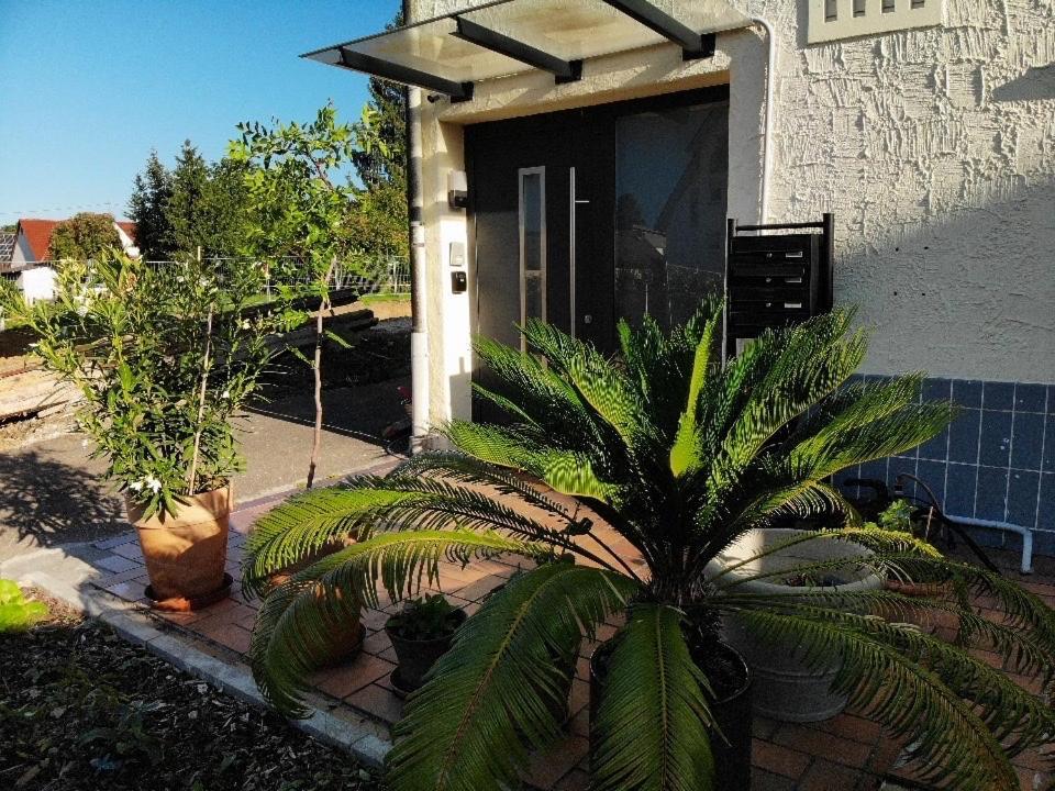 Gemuetliche 3 Zimmer Wohnung Mit Grosszuegiger Terrasse Im Gruenen Reutlingen Luaran gambar